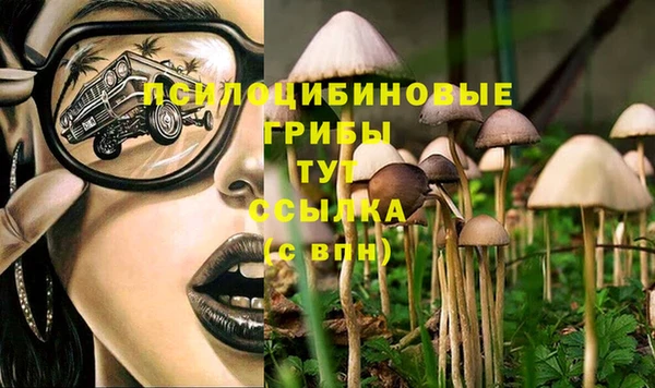 гашик Алзамай