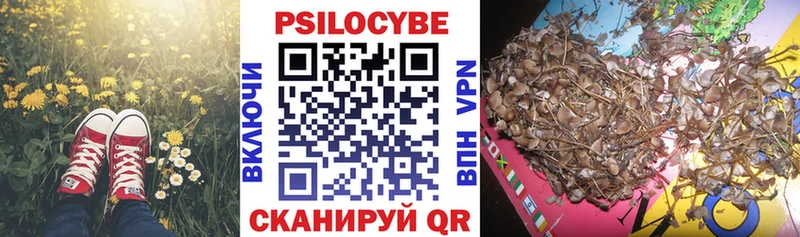 Галлюциногенные грибы MAGIC MUSHROOMS  дарнет шоп  Псков 